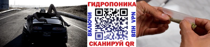 Купить наркотики цена Волхов kraken зеркало  Меф мяу мяу  COCAIN 