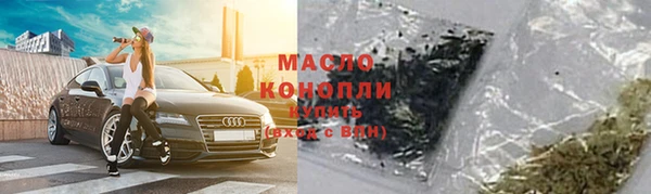 гашик Алексеевка