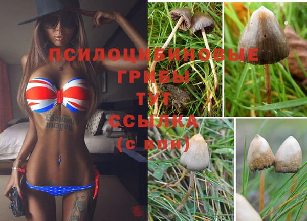 бошки Алзамай