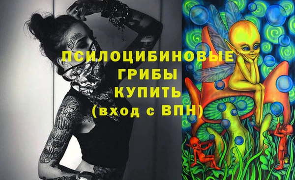 гашик Алексеевка