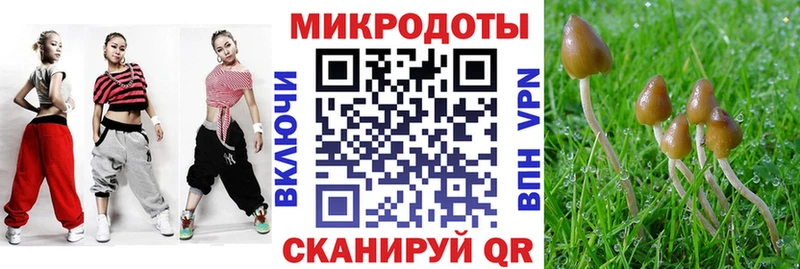 Псилоцибиновые грибы Psilocybine cubensis где купить наркоту Волхов